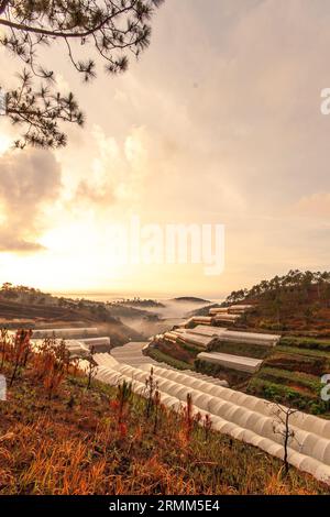 Paysage de Da Lat, vallées construites avec des serres utilisées pour faire pousser des fleurs partout dans la ville de Da Lat, serres immergées dans la brume Banque D'Images