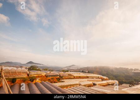 Paysage de Da Lat, vallées construites avec des serres utilisées pour faire pousser des fleurs partout dans la ville de Da Lat, serres immergées dans la brume Banque D'Images