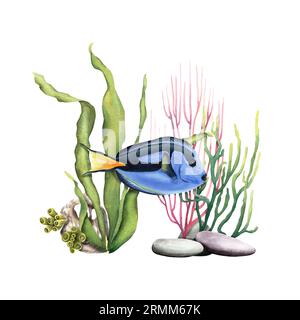 Composition sous-marine avec coraux et poisson exotique. Illustration aquarelle pour clip art, cartes, décor, paquet Banque D'Images