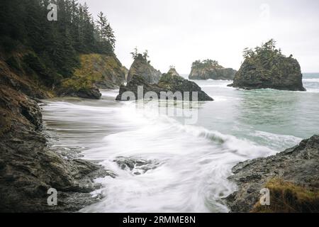 Samuel H Boardman Scenic Corridor - Brookings, Oregon Banque D'Images