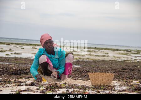 Groupe de femme d'un petit village africain au Mozambique au bord de l'océan Indien, collectant des pierres colorées et des coquillages à marée basse Banque D'Images