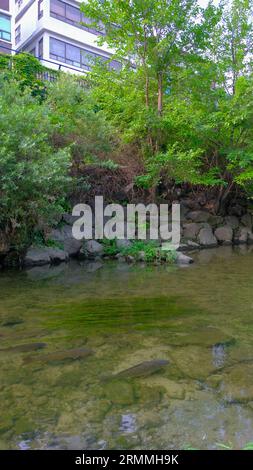 Cheonggyecheon Stream est un ruisseau de 11 km de long qui traverse le centre-ville de Séoul, en Corée du Sud Banque D'Images