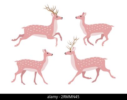 Ensemble vectoriel de cerfs roses dessinés à la main et isolés sur fond blanc Illustration de Vecteur