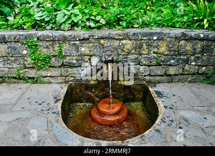 Chalice Well Gardens, Glasonbury, Somerset, Angleterre - Fontaine Lions Head Banque D'Images