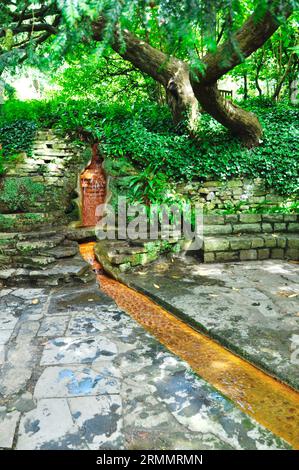 Chalice Well Gardens, Glastonbury, Somerset, Angleterre, Royaume-Uni - Water-course Banque D'Images