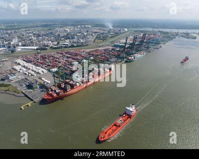 Antwerpen, 12 août 2023, Belgique. Vue aérienne drone des terminaux à conteneurs au port d'Anvers, les grands navires porte-conteneurs étant chargés et Banque D'Images