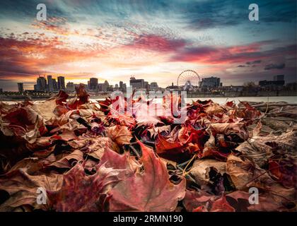 Feuilles d'automne colorées tombées avec la ville de Montréal Canada Skyline vue en arrière-plan Banque D'Images