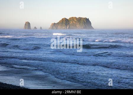 WA23513-00...WASHINGTON - matin brumeux sur la côte Pacifique à Cedar Creek dans le parc national olympique. Banque D'Images