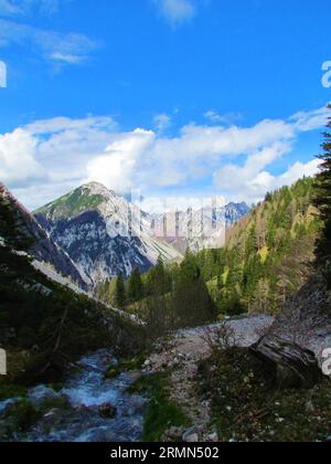 Vue sur les montagnes Begunjscica et Vrtača dans les montagnes Karavanke, Slovénie pris de Bellow Planina Korosica et un ruisseau de montagne en face Banque D'Images