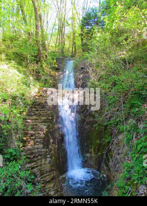 Cascade Stopnik double à Koseska Korita dans la municipalité de Kobarid, Slovénie dans une forêt Banque D'Images