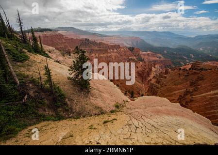 Les belles falaises et les couleurs de Cedar Breaks National Monument.in Cedar City, Utah. ÉTATS-UNIS. Les formations remontent à 60 millions d'années. Banque D'Images