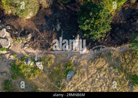 Vue aérienne de la forêt à moitié brûlée après l'incendie. Arbres brûlés et herbe. Changement climatique. Vue de dessus avec drone. Banque D'Images