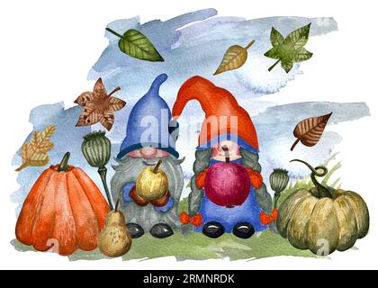 Famille des gnomes avec récolte de légumes d'automne. Thickgiving iilustration avec gnomes, citrouille, feuilles d'érable, fruits, légumes, fleurs. Banque D'Images