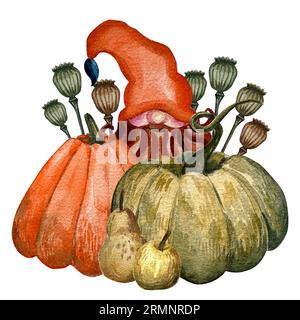 Famille des gnomes avec récolte de légumes d'automne. Thickgiving iilustration avec gnomes, citrouille, feuilles d'érable, fruits, légumes, fleurs. Banque D'Images