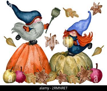 Famille des gnomes avec récolte de légumes d'automne. Thickgiving iilustration avec gnomes, citrouille, feuilles d'érable, fruits, légumes, fleurs. Banque D'Images