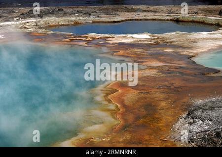 Couleurs vives autour d'une source chaude dans le parc national de Yellowstone, des bactéries thermophiles poussant le long du bord des sources. Banque D'Images