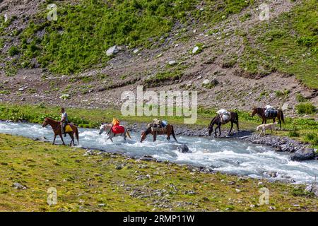 Les chevaux de meute transportent les bagages des randonneurs à travers la rivière Kvakhidistskali en Géorgie Banque D'Images