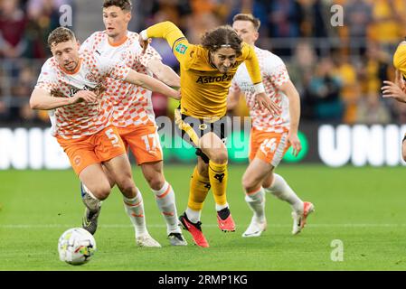 Fábio Silva de Wolves (à droite) et Matthew Pennington de Blackpool lors du match de deuxième tour de la Carabao Cup entre Wolverhampton Wanderers et Blackpool à Molineux, Wolverhampton le mardi 29 août 2023. (Photo : Gustavo Pantano | MI News) crédit : MI News & Sport / Alamy Live News Banque D'Images