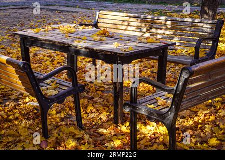 Banc vide dans le parc pendant l'automne Banque D'Images