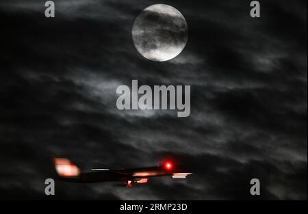 29 août 2023, Hesse, Francfort-sur-le-main : un avion de passagers est en approche d'atterrissage de l'aéroport de Francfort, tandis que la lune brille dans le ciel du soir. (Tourné avec une vitesse d'obturation plus longue) après une grande pleine lune pour commencer le mois d'août, le satellite de la Terre montre à nouveau toute sa splendeur dans la nuit du 31 août. Comme déjà au début du mois, la pleine lune est particulièrement proche de la terre, elle semble donc un peu plus grande que d'habitude. Photo : Arne Dedert/dpa Banque D'Images