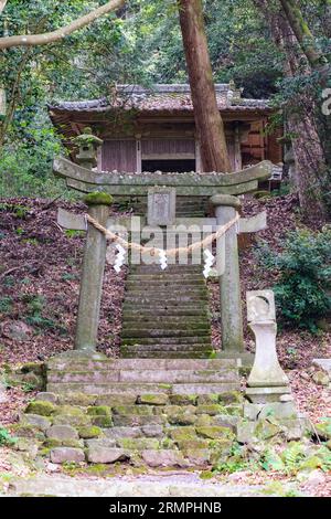 Japon, Kyushu. Porte torii du sanctuaire shinto au-dessus du temple bouddhiste Fuki-ji, péninsule de Kunisaki, préfecture d'Oita. Banque D'Images