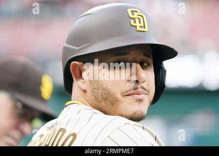 St. Louis, États-Unis. 29 août 2023. San Diego Padres Manny Machado regarde les tribunes alors que les fans chantent son nom lors d'un match contre la St. Louis Cardinals au Busch Stadium à St. Louis le mardi 29 août 2023. Photo de Bill Greenblatt/UPI crédit : UPI/Alamy Live News Banque D'Images
