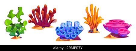 Ensemble de bande dessinée d'algues isolées sur fond blanc. Illustration vectorielle de plantes et de coraux sous-marins, flore marine ou océanique, éléments de conception de fond aquatique avec des feuilles vertes, roses, jaunes, bleues Illustration de Vecteur
