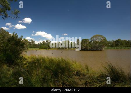 Le lac Jells Park a été construit pour empêcher le ruisseau Dandenong d'inonder Ferntree Gully Road - une autoroute importante. Il est maintenant devenu une attraction touristique populaire. Banque D'Images