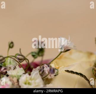 Une composition de différents types de fleurs pour un cadeau, une combinaison de plusieurs types de plantes et de fleurs différentes dans un bouquet Banque D'Images