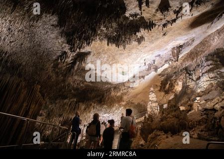 Manacor, Espagne. 28 août 2023. Visiteurs des grottes du Dragon à Porto Cristo, l'un des endroits les plus visités de Majorque. Avec une hauteur maximale de 25 mètres sous la surface, le sentier mesure environ 1,2 kilomètres de long et compte un grand nombre de stalactites et stalagmites. Les grottes se cachent dans un grand lac souterrain, le lac Martel, considéré comme l'un des plus grands lacs souterrains au monde. Crédit : Clara Margais/dpa/Alamy Live News Banque D'Images