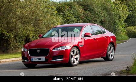 Whittlebury,Northants,UK -Aug 27th 2023 : 2016 Jaguar XF rouge voyageant sur une route de campagne anglaise Banque D'Images