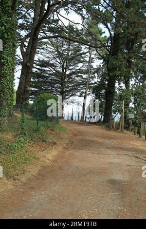 Sentier côtier sur Pointe du Logeo, le Logeo, Sarzeau, Morbihan, Bretagne, France Banque D'Images