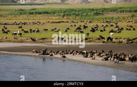 (140829) -- LAGHMAN, 28 août 2014 -- une photo prise le 28 août 2014 montre une vue de la province de Laghman dans l'est de l'Afghanistan.) (djj) AFGHANISTAN-LAGHMAN-LANDSCAPE AhmadxMassoud PUBLICATIONxNOTxINxCHN août 28 2014 la photo prise LE 28 2014 août montre une vue de la province dans l'est de l'Afghanistan Paysage PUBLICATIONxNOTxINxCHN Banque D'Images