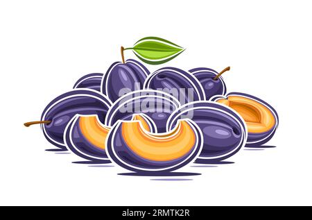 Logo vectoriel pour prunes, affiche horizontale décorative avec dessin animé composition de nature morte fruitée de prune, impression de fruits avec orange entière et hachée Illustration de Vecteur