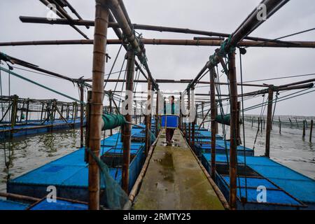 (140923) -- KUNSHAN, 23 septembre 2014 -- Un pêcheur transporte des crabes chinois récoltés sur le lac Yangcheng dans la ville de Bacheng à Kunshan, dans la province du Jiangsu, dans l'est de la Chine, le 23 septembre 2014. La saison de récolte 2014 pour le crabe moufle chinois (Eriocheir sinensis) dans le lac Yangcheng, une importante zone productrice, a débuté mardi. Aussi connu comme le grand crabe d'écluse, les crabes chinois à moufles sont favorisés par de nombreux amateurs de gourmets et se vendent bien en ligne et sur les marchés réels ) (wjq) CHINA-JIANGSU-FISHERY-YANGCHENG LAKE-CHINESE MITTEN CRABE-MOISSON (CN) LixXiang PUBLICATIONxNOTxINxCHN Kunshan sept 23 2014 a F Banque D'Images