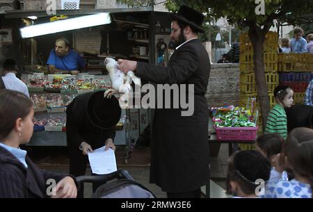 (141001) -- JÉRUSALEM, 1 octobre 2014 -- des Juifs ultra-orthodoxes balancent un poulet blanc au-dessus de leur tête en lisant une prière dans le quartier de Mea Shearim à Jérusalem le 1 octobre 2014, dans le cadre de la cérémonie traditionnelle Kaparot avant le jour le plus sacré du judaïsme, Yom Kippour. Kaparot est une coutume ancienne et mystique liée au jour juif des Expiations, Yom Kippour, et peut être exécutée à tout moment entre Rosh Hashana (nouvel an juif) et Yom Kippour.) MIDEAST-JERUSALEM-YOM KIPPUR GilxCohenxMagen PUBLICATIONxNOTxINxCHN Jerusalem OCT 1 2014 Juifs ultra orthodoxes balancent un poulet blanc sur leur tête Banque D'Images