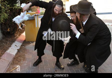 (141001) -- JÉRUSALEM, 1 octobre 2014 -- des Juifs ultra-orthodoxes balancent un poulet blanc au-dessus de leur tête en lisant une prière dans le quartier de Mea Shearim à Jérusalem le 1 octobre 2014, dans le cadre de la cérémonie traditionnelle Kaparot avant le jour le plus sacré du judaïsme, Yom Kippour. Kaparot est une coutume ancienne et mystique liée au jour juif des Expiations, Yom Kippour, et peut être exécutée à tout moment entre Rosh Hashana (nouvel an juif) et Yom Kippour.) MIDEAST-JERUSALEM-YOM KIPPUR GilxCohenxMagen PUBLICATIONxNOTxINxCHN Jerusalem OCT 1 2014 Juifs ultra orthodoxes balancent un poulet blanc sur leur tête Banque D'Images