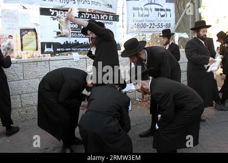 (141001) -- JÉRUSALEM, 1 octobre 2014 -- des Juifs ultra-orthodoxes balancent un poulet blanc au-dessus de leur tête en lisant une prière dans le quartier de Mea Shearim à Jérusalem le 1 octobre 2014, dans le cadre de la cérémonie traditionnelle Kaparot avant le jour le plus sacré du judaïsme, Yom Kippour. Kaparot est une coutume ancienne et mystique liée au jour juif des Expiations, Yom Kippour, et peut être exécutée à tout moment entre Rosh Hashana (nouvel an juif) et Yom Kippour.) MIDEAST-JERUSALEM-YOM KIPPUR GilxCohenxMagen PUBLICATIONxNOTxINxCHN Jerusalem OCT 1 2014 Juifs ultra orthodoxes balancent un poulet blanc sur leur tête Banque D'Images