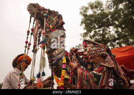 (141031) -- RAJASTHAN, 31 octobre 2014 -- l'artiste local Ashok Tak (à droite) et son assistant décorent un chameau lors d'une exposition de décoration de chameau à la Foire de chameaux à Pushkar du Rajasthan, Inde, le 31 octobre 2014. Des milliers de commerçants de bétail viennent à la foire annuelle traditionnelle des chameaux où le bétail, principalement des chameaux, est échangé. Cette foire est l'une des plus grandes foires de chameaux au monde. ) INDE-RAJASTHAN-PUSHKAR-CAMEL FAIR ZhengxHuansong PUBLICATIONxNOTxINxCHN Rajasthan OCT 31 2014 artiste local Ashok Tak r et son assistant décorent un chameau lors d'un spectacle de décoration de chameau dans la Foire de chameau à Pushkar du Rajasth Banque D'Images