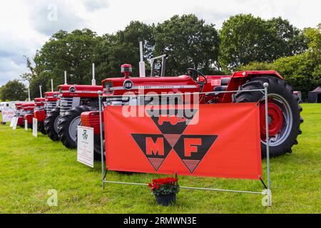 Rangée de tracteurs Massey Ferguson rouges au Steam & Vintage Fest, Fordingbridge, Hampshire Royaume-Uni en août Banque D'Images