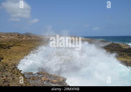 Grande vague sur la côte du parc national de 'Shete Boka', Curaçao Banque D'Images