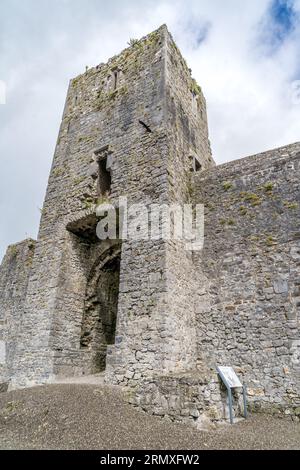 Vue aérienne du château de Liscarroll forteresse hiberno-normande du 13e siècle dans le comté de Cork avec tours d'angle rondes et imposante maison de porte gothique Banque D'Images