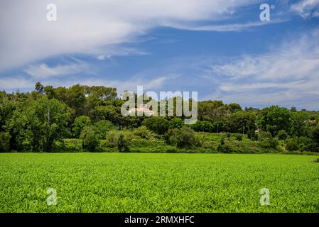 Champs verts et une maison dans la forêt à Santa Eulàlia de Ronçana (Vallès Oriental, Barcelone, Catalogne, Espagne) ESP : Campos verdes y una casa Banque D'Images