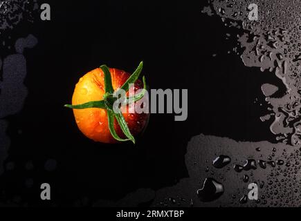 Wet yellow-red striped tomato on black wet background with water drops Stock Photo