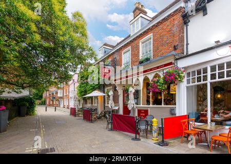 Vue générale de l'auberge et pub du 18e siècle The Old Vine, en face de la cathédrale de Winchester dans la ville de Winchester, Angleterre, Royaume-Uni. Banque D'Images