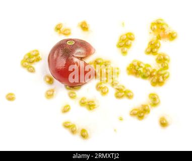 Tomate brisée isolée sur blanc Banque D'Images