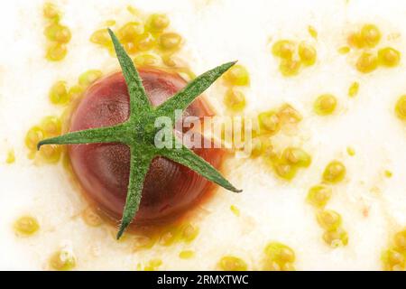 Tomate brisée isolée sur blanc Banque D'Images