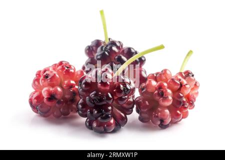Mûres fruits mûrs biologiques isolés sur blanc Banque D'Images