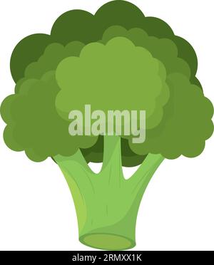 Vecteur d'icône de conception plate de brocoli isolé Illustration de Vecteur