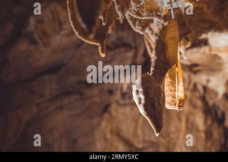 Grotte remplie de stalactites et stalagmites formant des piliers et d'autres formations rocheuses. Grotte de Taborska ou Zupanova en Slovénie Banque D'Images